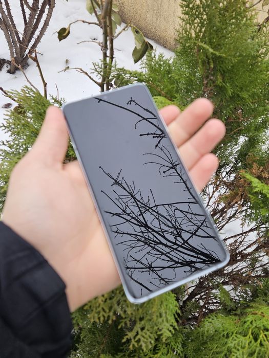 Samsung S21 Ultra Phantom Silver