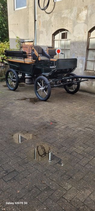 trăsură maraton de 6+2 persoane