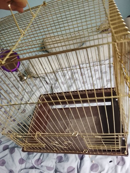 Продам Клетку для папугая
