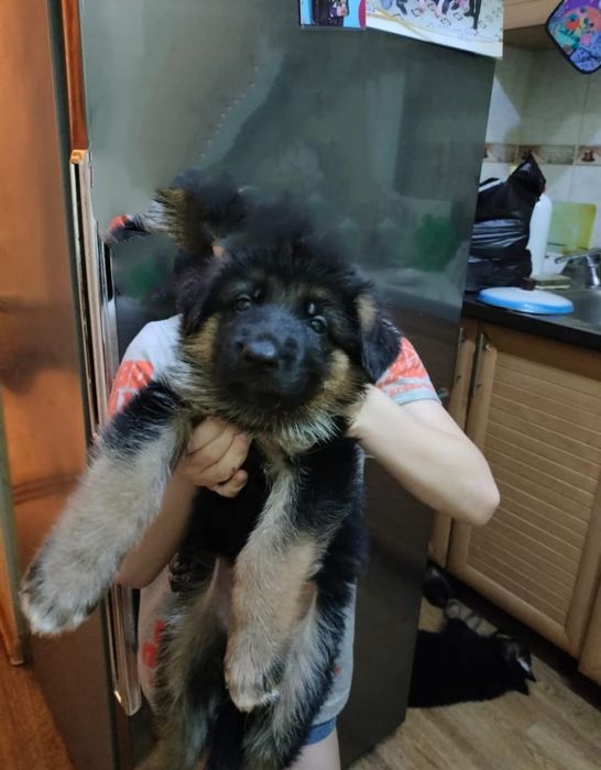 Молодой красивый кабель