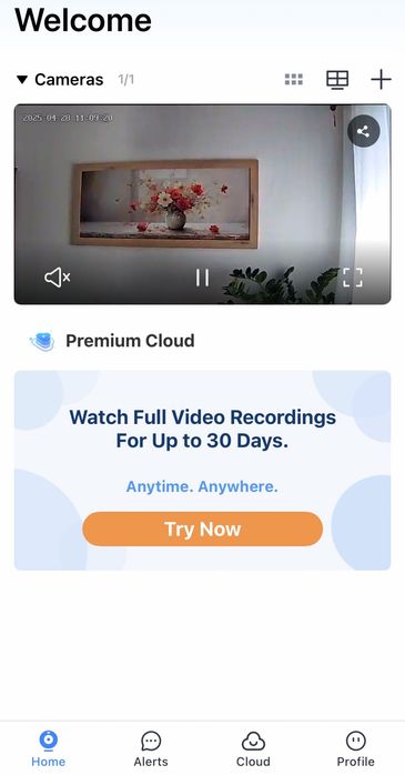 Camera Supraveghere de interior Wifi