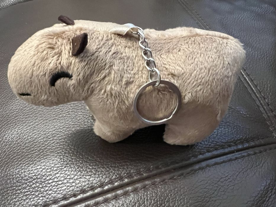 Плюшки - капибара, коте