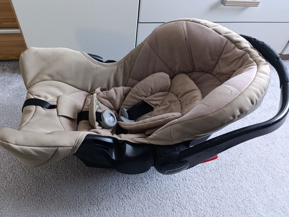 Scoica bebeluși teutonia