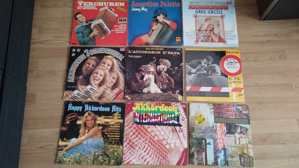 12 disc vinil muzica la acordeon  LOTUL 12