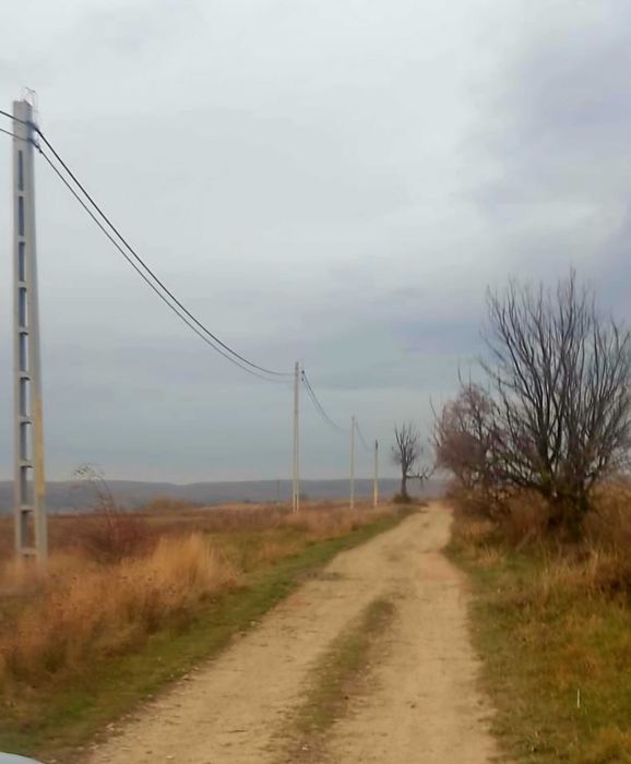 Teren extravilan 49ari