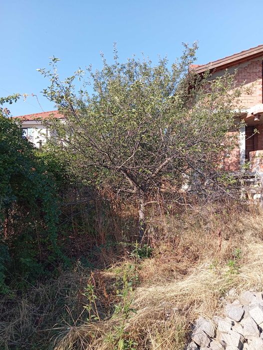 Косене почистване на дворни пространства