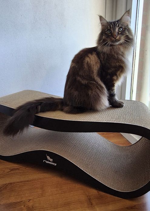 Norvegiana de padure