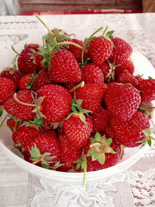Продам дачную клубнику