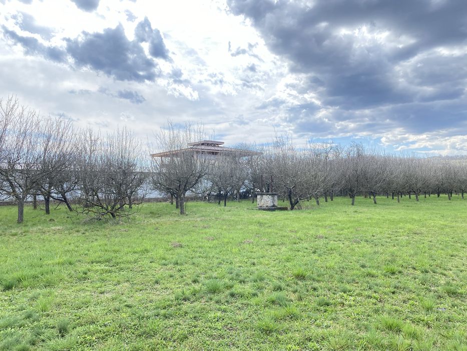 Teren intravilan ( 7000 mp )