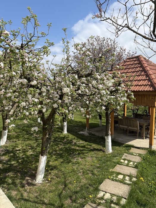 Casa de vanzare