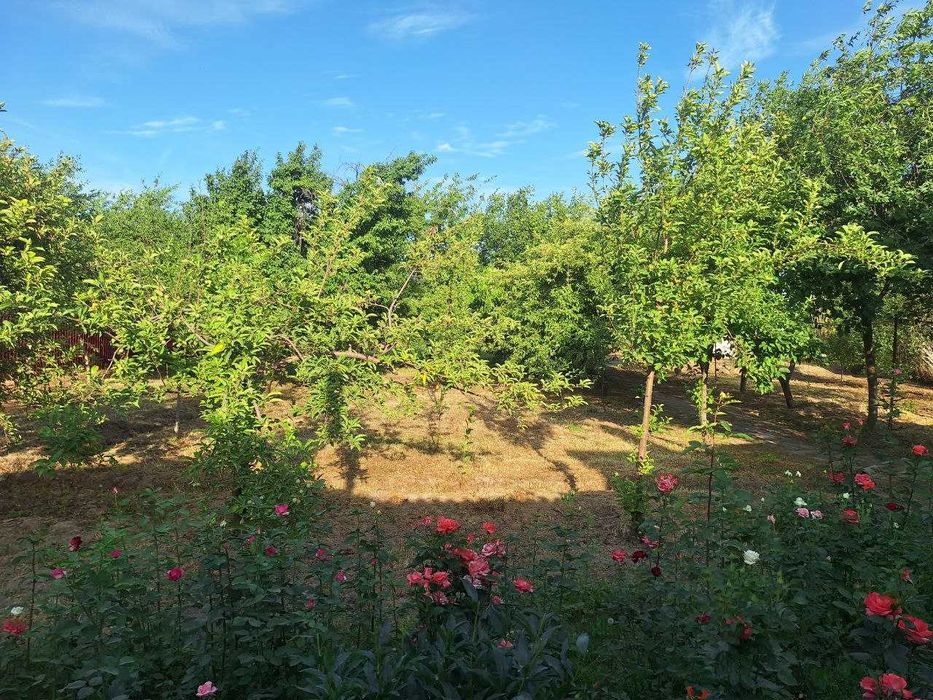 Продается земельный участок в Новом Ташкенте