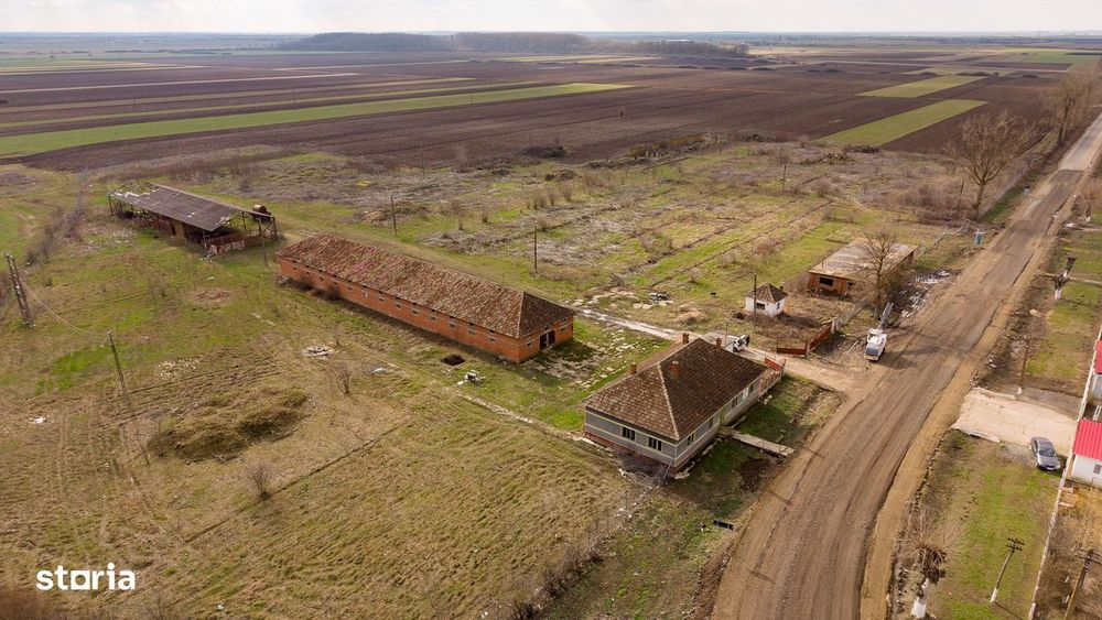 Fermă cu teren intravilan de 35000 mp în Mișca