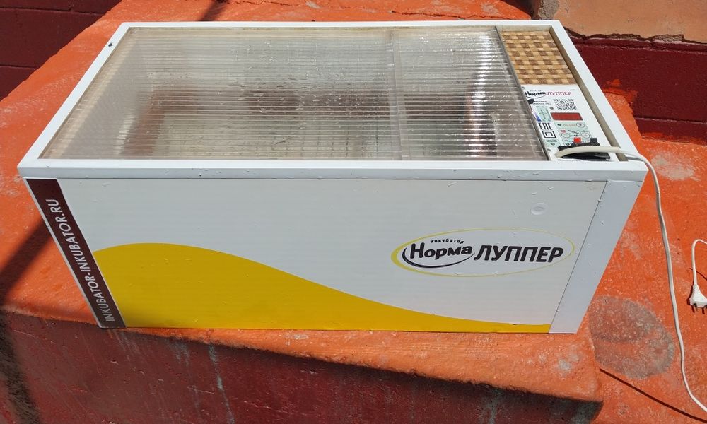 Инкубатор норма луппер сатылады