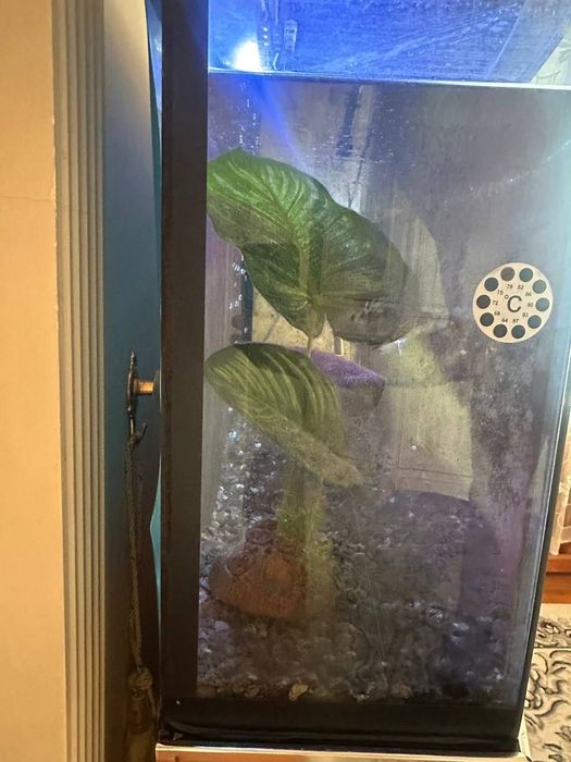 Продается аквариум