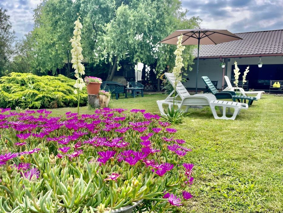 Vand casa in oras Ciacova,jud Timis
