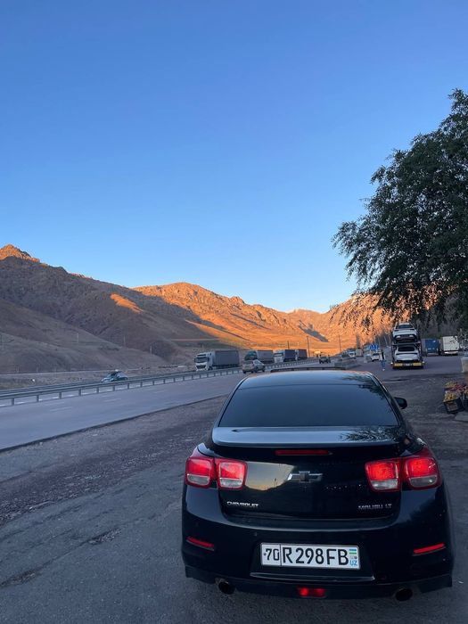 Malibu 1  2-pazitsiya