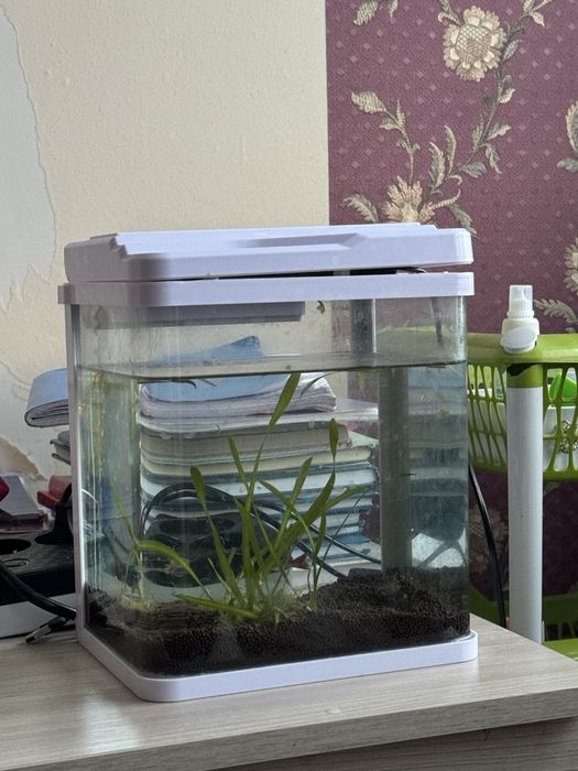 АКВАРИУМ 35 литров