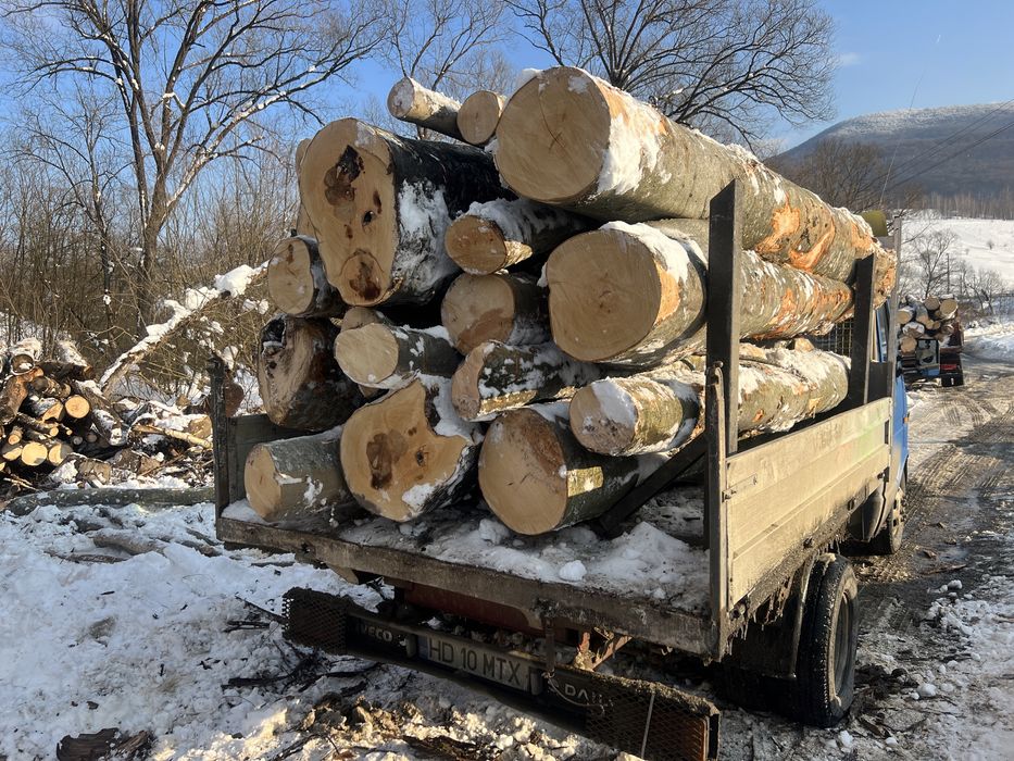 Lemn de foc Fag 3.6 cub