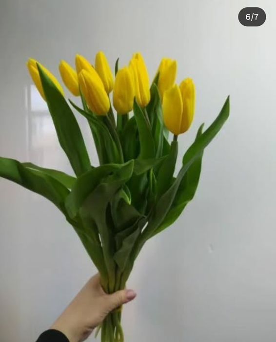 Тюльпаны к 8 марта!!!