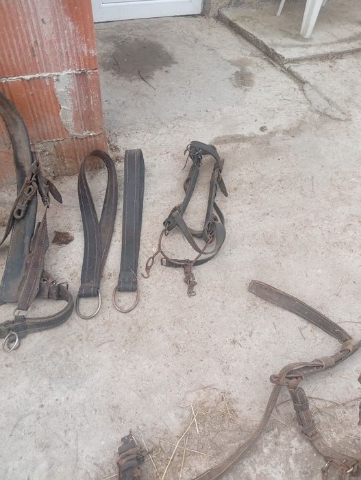 Vând hamuri pentru cai