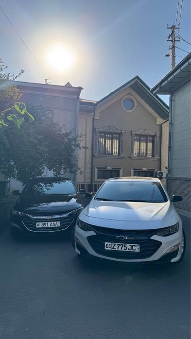 Malibu Xl 2024-26 Masla Srochno!!!