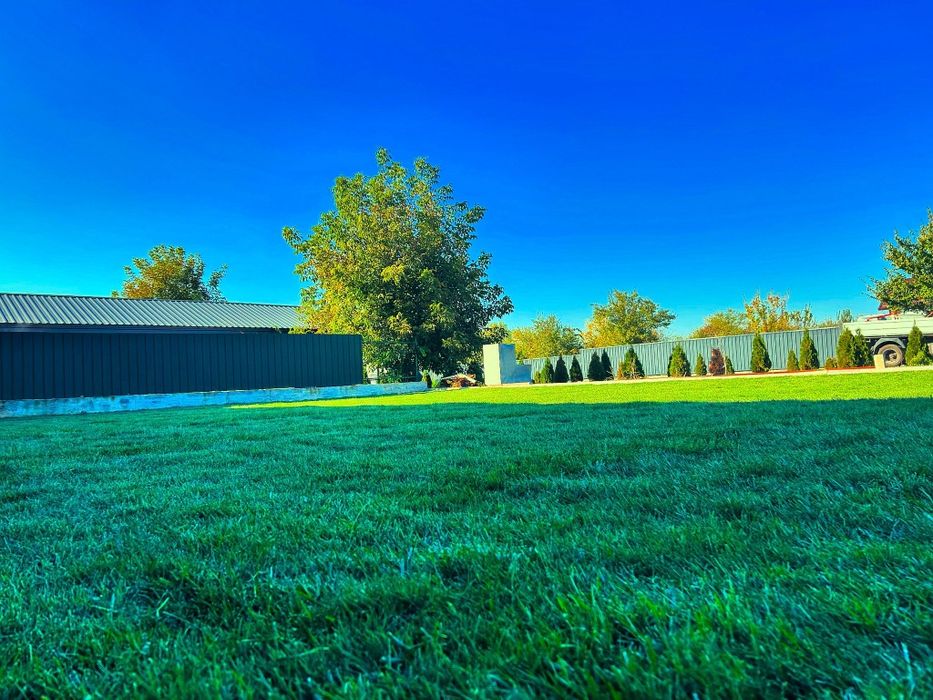 Montaj gazon 25 lei/m