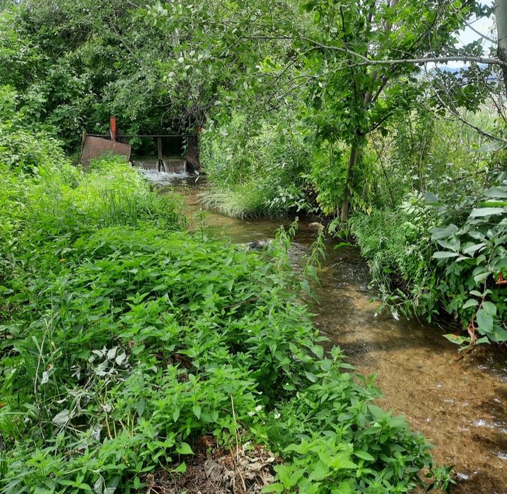 Продаётся дом в с.Шубар в Кербулакском районе