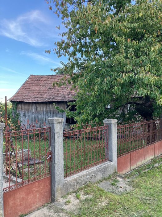 Casă cu grădină și pomi fructiferi - teren 2401 mp - loc. Moldovenești