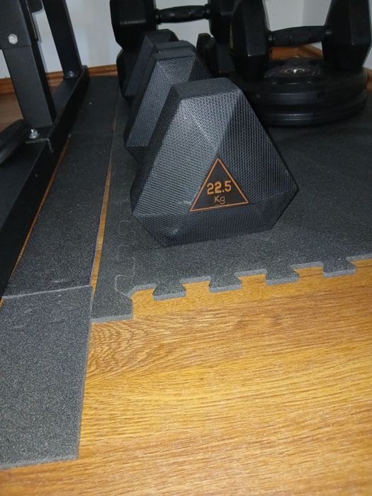 Gantere, discuri, haltera, multifunctional rack,sac box, scripeți,