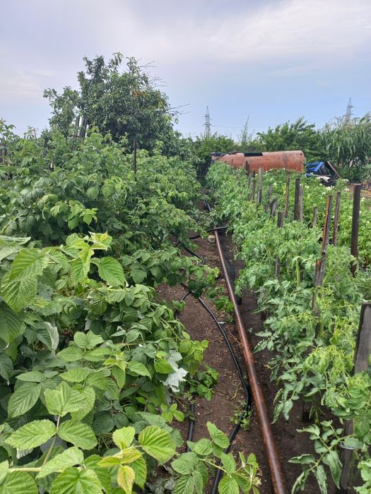 Продам дачу общество "Союз"