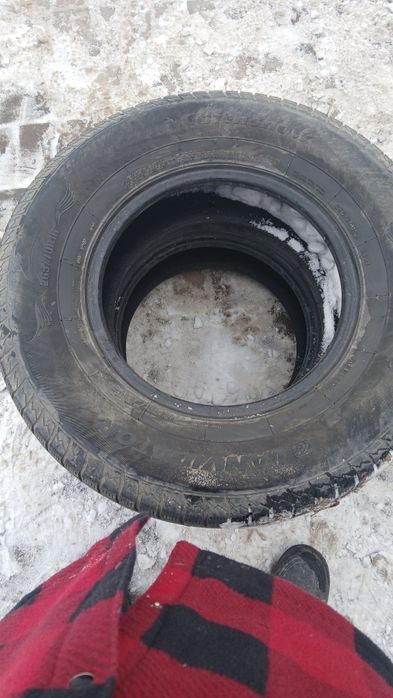 Срочно Продам ризину