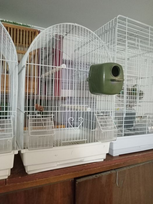 Клетки для декоративных птиц