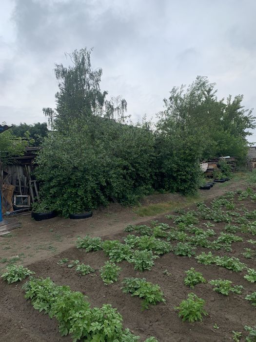 Срочно Продам  дом