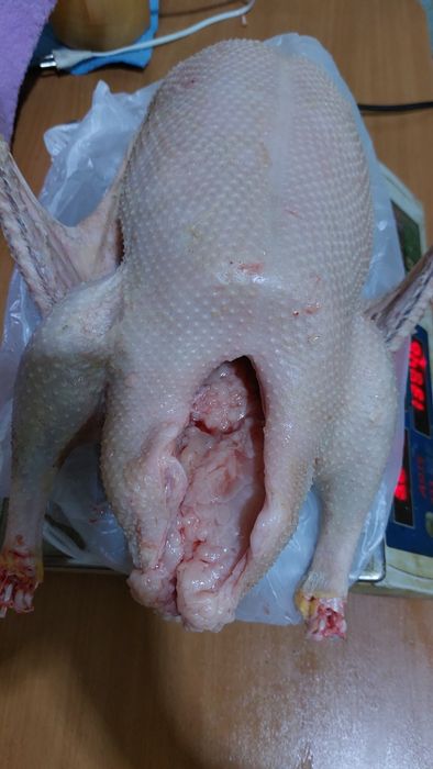 Продам  гусей  домашних.