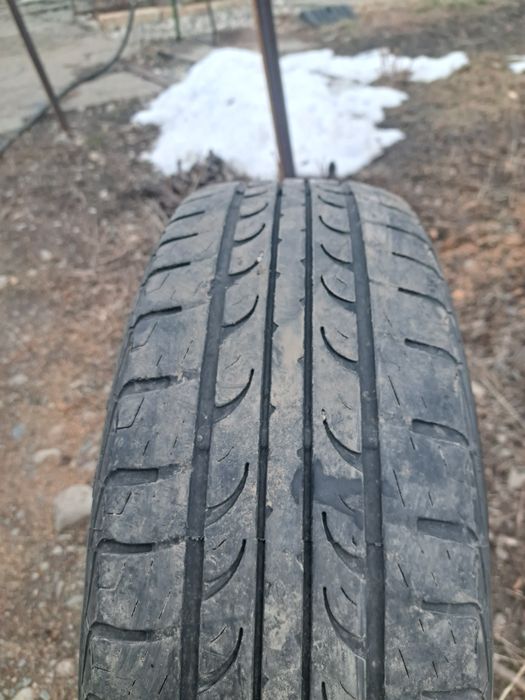 Шина летний безкамерка