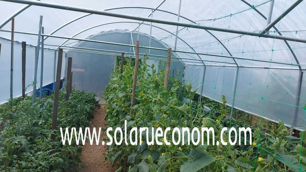 Sera (solar) - 30 mp - 2850 lei