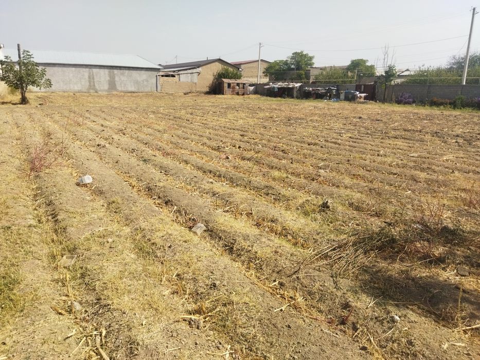 Arendaga yer beriladi!