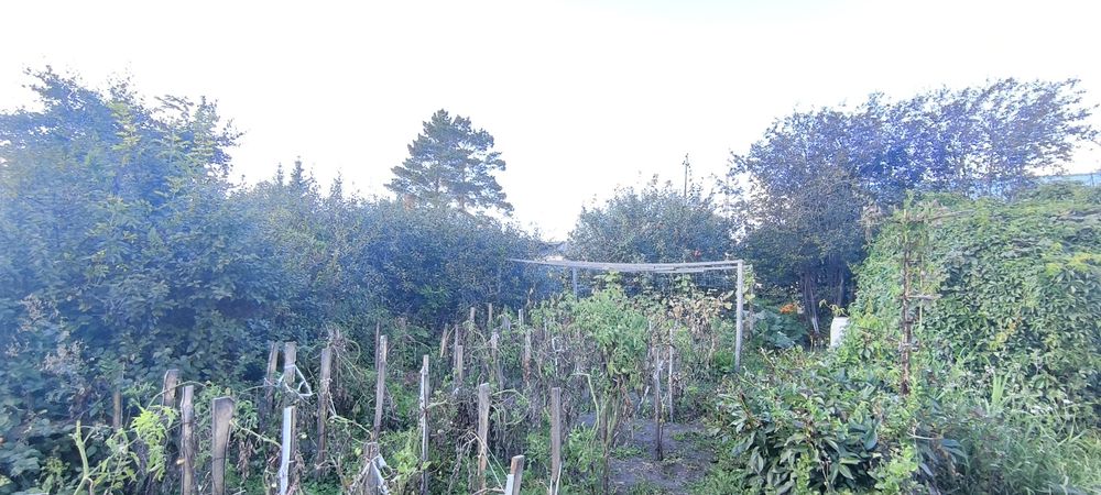 Продам дом с. Бесколь