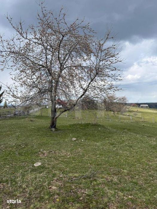 De vanzare teren intravilan, 1.716 mp - Marisel