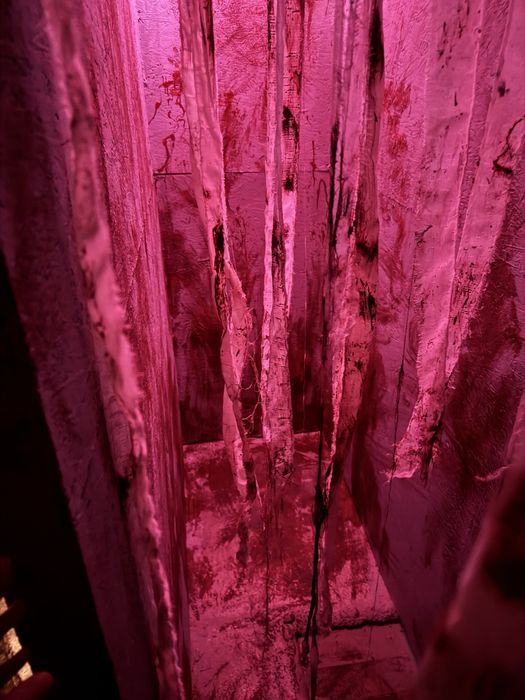 Хоррор - квест "ВЗАПЕРТИ"