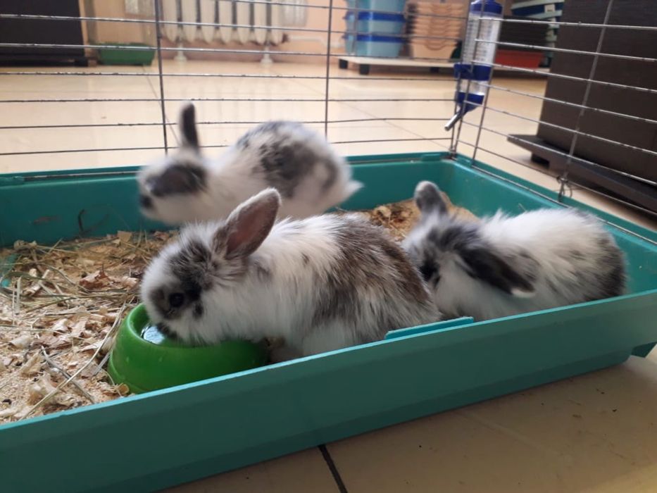 Подарок на 14 февраля !