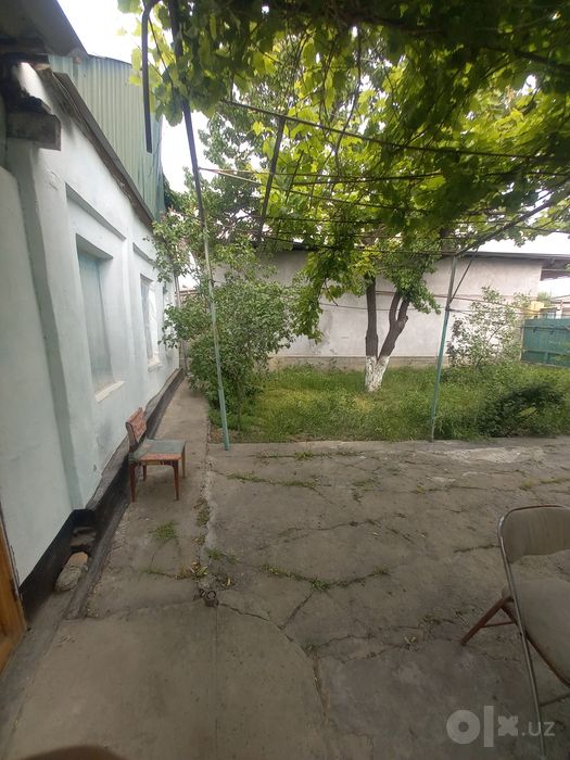 Шахар Сентирдан 1 ку'ча кирганда Дасаф ку'ча