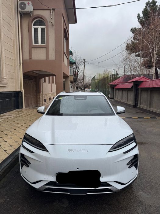 Byd champion restaling