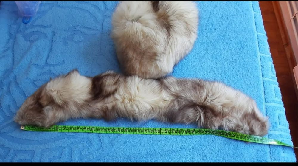 Guler si/sau caciulă