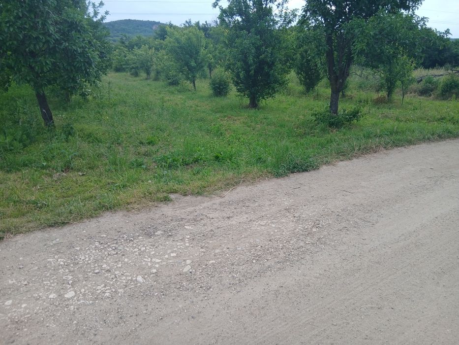 Teren intravilan