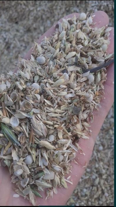 Отходы Полова Отруби Колоски Зерноотходы