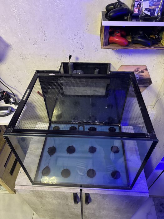 Acvariu marin complet cu sump și dulap – sticlă Ultra Clear 10 mm