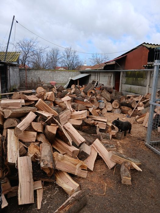 Tai lemne arad  sin judetul arad