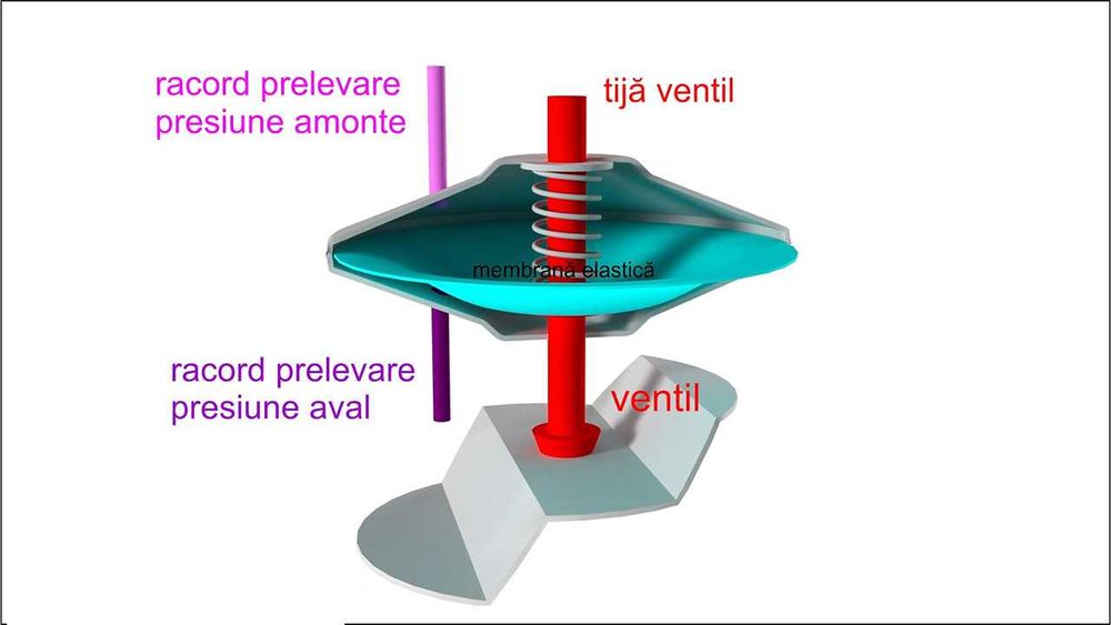 Prima pentru cariera didactica, soft educational, cursuri