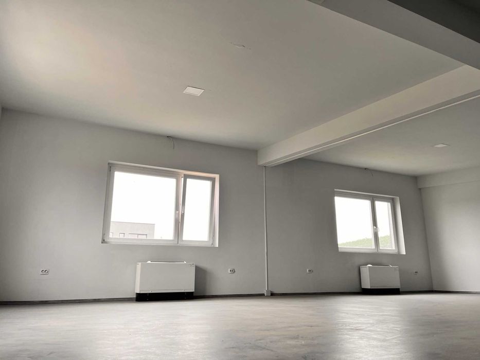 Inchiriere hala - Parc Industrial Miroslava